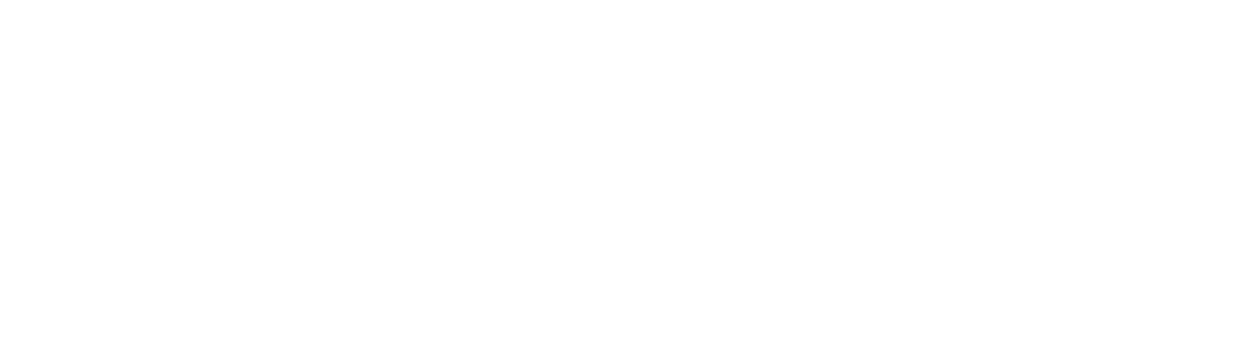 Open Ionob website in a new tab